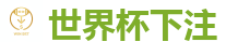 世界杯下注_2026世界杯专业体育赛事投注平台